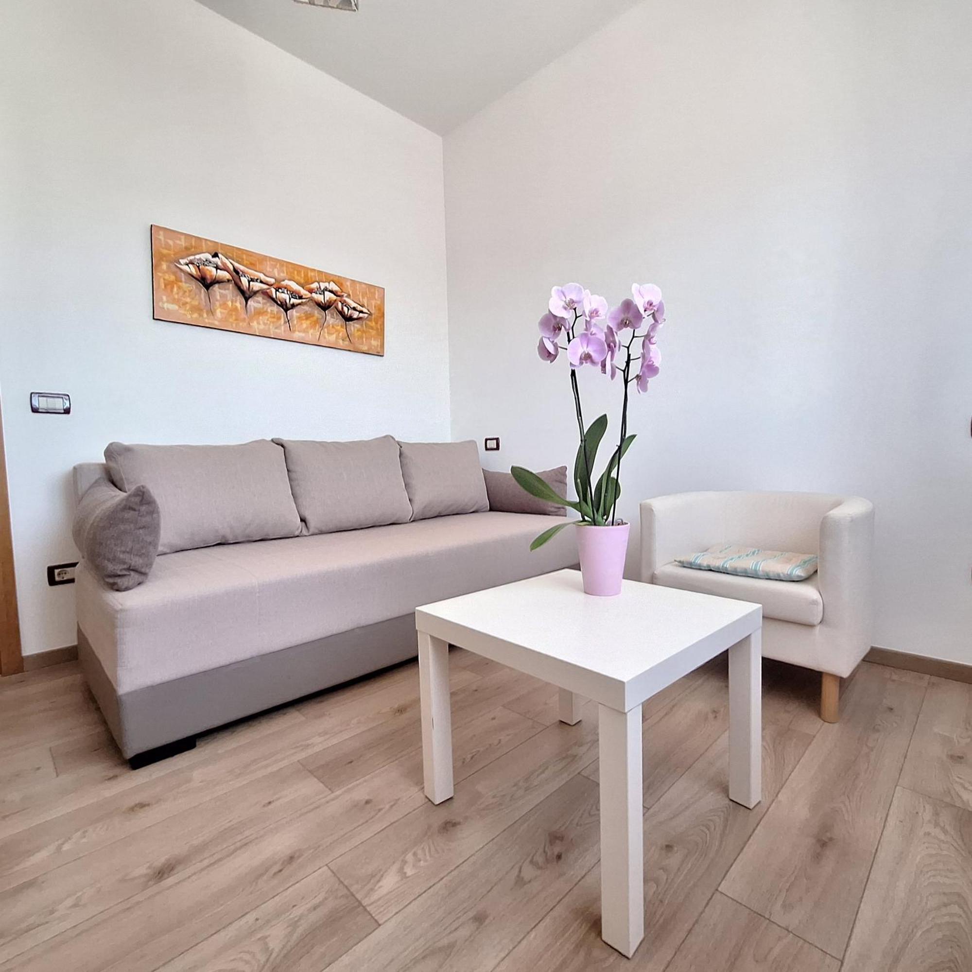 Apartment Mita Грожнян Экстерьер фото